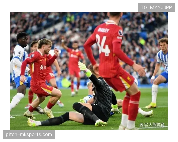 布莱顿主场迎战利物浦,关键三分争夺战一触即发 布莱顿主场迎战利物浦,关键三分争夺战一触即发