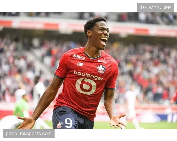 德甲夏窗新星加盟老将离队，联赛格局迎来新一轮洗牌